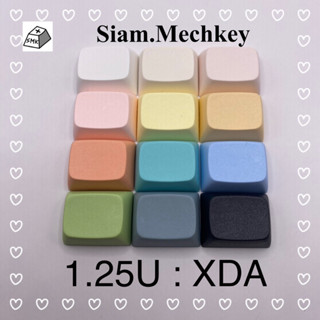 พร้อมส่ง ของแท้ 12สี 1.25U : XDA Profile Keycap คุณภาพดี PBT คีย์แคปเปล่า Mechanical Keyboard