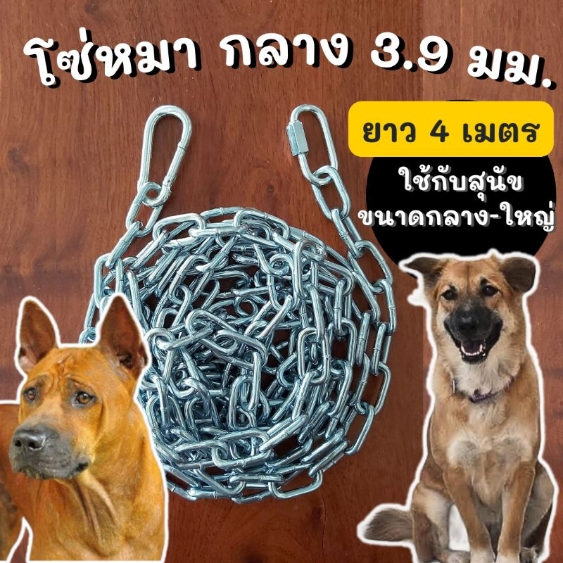 [4 เมตร,กลาง] โซ่หมา หนา 5/32″ หรือประมาณ 3.970 มม. โซ่หมาใหญ่ สุนัขใหญ่ โซ่พลัง โซ่สุนัข โซ่ล่ามหมา โซ่ล่ามสุนัข