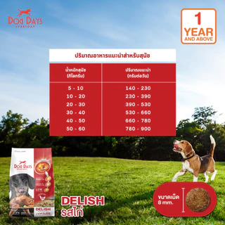 Dog Days อาหารสุนัขรสไก่ (ุ6 kg) Delish เกรด Holistic สูตรสำหรับสุนัขทานยากโดนเฉพาะ