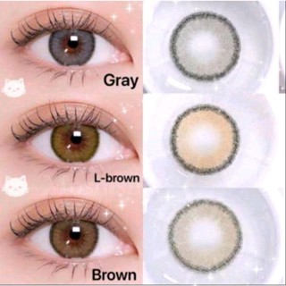 คอนแทคเลนส์ รุ่น Mini Olivia By Kitty Kawaii มี 3 สี สีเทา/ตาล/L-brown Gray/Brown/L-Brown ค่าสายตา (0.00)-(-10.00)