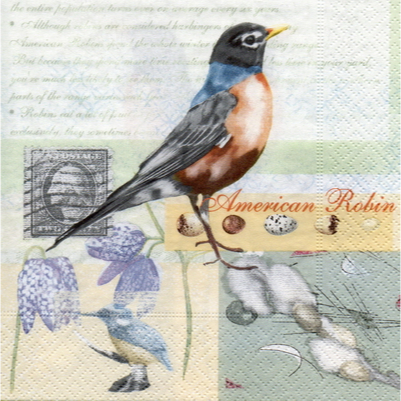 Pladao Napkin ภาพวินเทจ นก American Robin Bird สัตว์ กระดาษ แนพกิ้น สำหรับงานศิลปะ เดคูพาจ decoupage ขนาด L 33x33