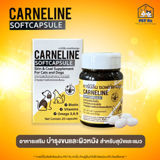 Carneline [แท้💯] อาหารเสริมบำรุงขนและผิวหนัง สำหรับสุนัขและแ…