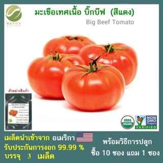 เมล็ดมะเขือเทศเนื้อ บิ๊กบีฟ  จำนวน  3 เมล็ด
