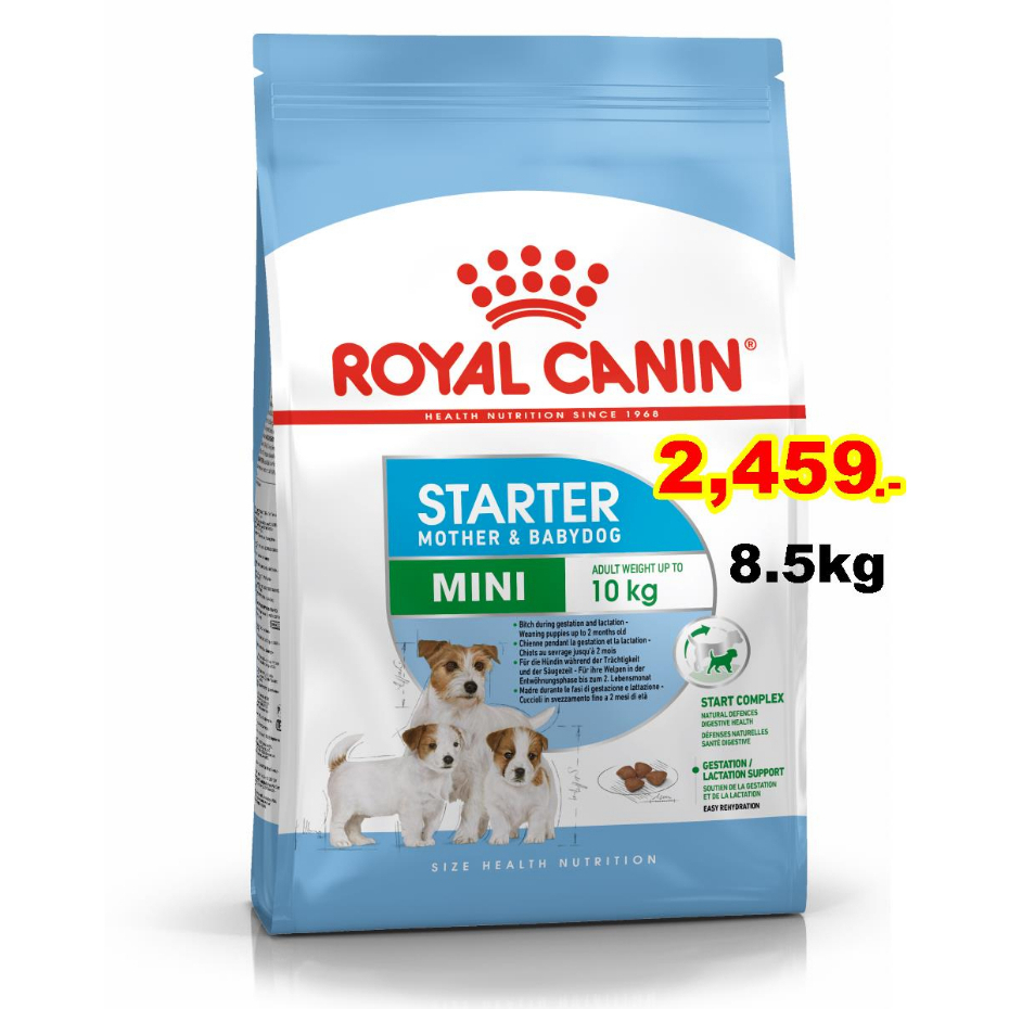 Royal canin Mini starter 8.5kg สำหรับแม่สุนัขพันธุ์เล็กตั้งท้อง-เลี้ยงลูก