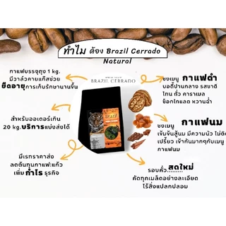 เมล็ดกาแฟคั่วกลางบราซิล "Brazil Cerrado" คั่วกลาง Taste : Walnut Caramel Chocolate