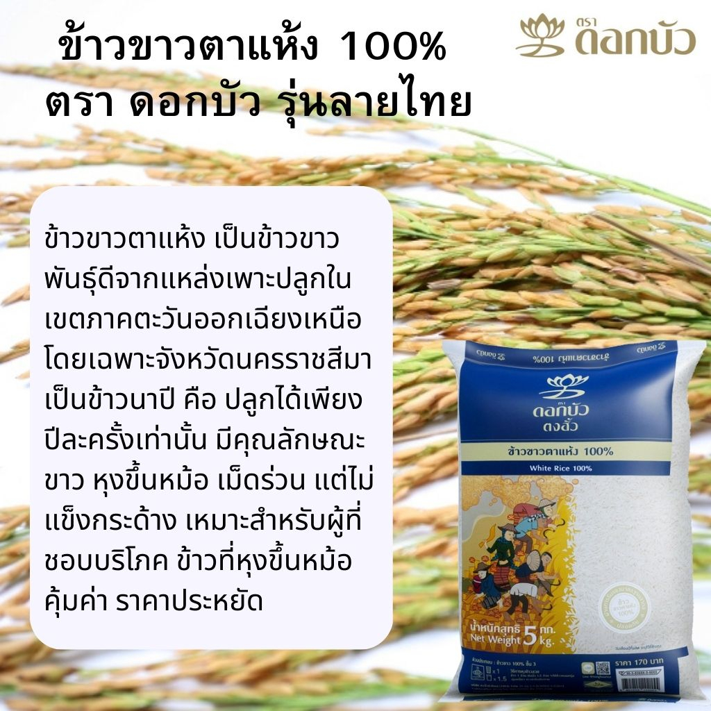 ข้าวตราดอกบัว ข้าวขาวตาแห้ง 100% 5 กก.Pack 2 ถุง ราคา ถูกที่สุด ดีลบีเคเค แกลเลอรีภาพที่ 2