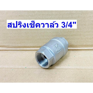 สปริงเช็ควาล์ว สแตนเลส 316  ขนาด 3/4 (Spring Check valve Stainless)