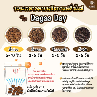 เมล็ดกาแฟโรบัสต้าคั่วเข้ม โรบัสต้า 100% เกรด A