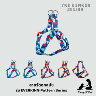 สายรัดอกสุนัขและแมว สายรัดอก ชุดรัดอกสุนัข สายรัดอกหมาใหญ่ Dog Harness EVERKING The Runner Series - Pattern