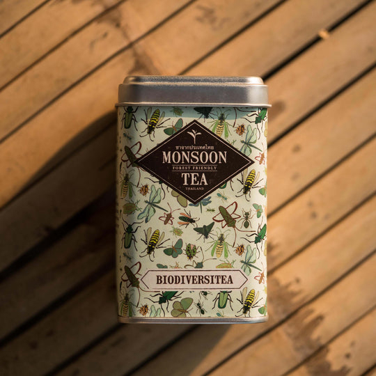 ชามอนซูน ที Biodiversitea Tea from Thailand, Thai Tea ออร์แกนิค Forest tea จากภาคเหนือ ชาป่า ชาไทยสุดพรีเมียม