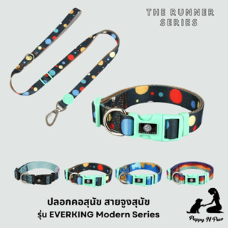 ปลอกคอสุนัขและแมว สายจูง ปลอกคอแมว ปลอกคอหมาใหญ่ Dog Collar and Leash EVERKING The Runner Series - Modern 2