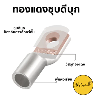 หางปลาทองแดง ทรงยุโรป ทองแดงชุบดีบุก มีหลายขนาด