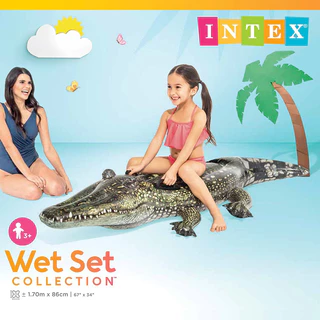 ‼️พร้อมส่ง‼️ แพยาง แพนอน แพเป่าลม แพจะเข้ INTEX 57551 รองรับปลายทาง