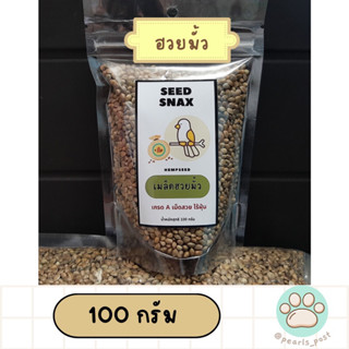 SEEDSNAX - เมล็ดฮวยมั้ว สำหรับฝึกนก เกรดA ไร้ฝุ่น