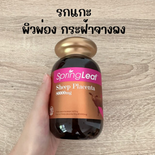 Spring Leaf Sheep Placenta 80000 mg. 90 Capsules รกแกะนางงามออสเตรเลีย  (EXP : 4/1/2026)