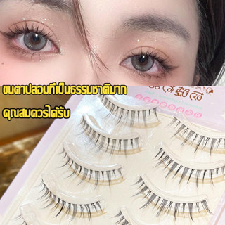 ISABELLA พร้อมส่ง ขนตาปลอมแบบเซท แบบช่อขนตา นิ่ม ขนตาธรรมชาติ ขนตาปลอมสไตล์ธรรมชาติ Little devil ขนตาปลอม 3D B01