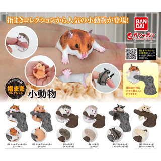 (ครบชุดพร้อมส่ง) กาชาปองแฮมเตอร์ เม่นแคระ ชูการ์ไกรเดอร์ Gashapon Bandai Ikimono Encyclopedia Hamster Hedgehog Sugar V.2