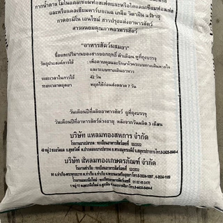 หัวอาหารหมู 151 แหลมทอง ถุงหิ้วขนาด 10 กิโลกรัม โปรตีน 20% รุ่นแรกเกิด-น้ำหนัก 15 กก. ลูกสุกร ลูกหมู หมูแคระ อาหารไก่