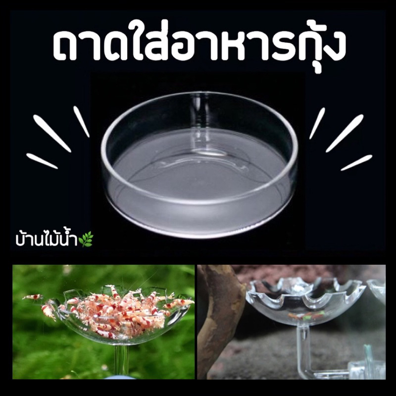 จานใส่อาหารกุ้ง จานกุ้ง จานอาหารกุ้ง ถาดใส่อาหารกุ้ง จานกุ้งติดกระจก | บ้านไม้น้ำ🌿