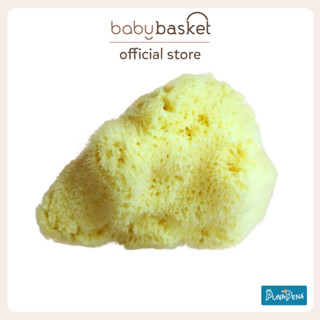 Punapena Sea Sponge Silk ฟองน้ำธรรมชาติเด็ก ขนาด L