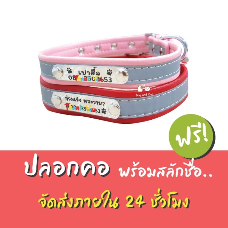ปลอกคอสลักชื่อ #หมา #แมว #พร้อมจัดส่ง #ปอกคอหมา #ปอกคอแมว #จัดส่งเร็ว