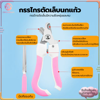 ตัดเล็บสุนัข กรรไกรตัดเล็บสัตว์เลี้ยง พร้อมตะไบ ตัดเล็บแมว กรรไกรตัดเล็บสุนัข มีให้เลือก ใช้ได้ทั้งน้องแมวและน้องหมา