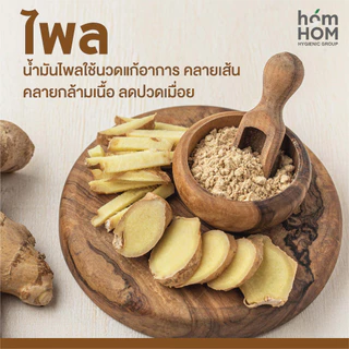 homHOM (น้ำมันสกัดจากไพลเข้มข้น) - 1 pcs / ออฟฟิสซินโดม สูตรเข้มข้น ปวดเมื่อย กลิ่นหอมสปา