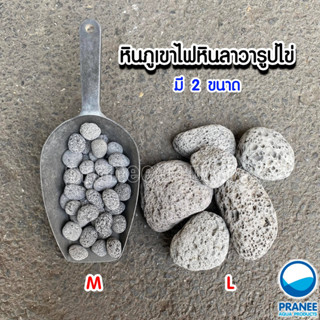 หินภูเขาไฟ​หินลาวารูปไข่ มี2 ขนาด ( LAVA STONE)