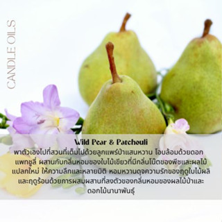 หัวน้ำหอม กลิ่น Wild Pear &amp; Patchouli หัวน้ำหอมทำเทียน