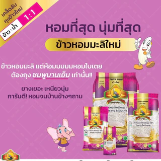 8.8 ลดสุด(โค้ดลด30% เหลือถุงละ160.-) (แพ็ก3)(ปี69) ข้าวหอมมะลิใหม่ต้นฤดู100% ขนาด5KG
