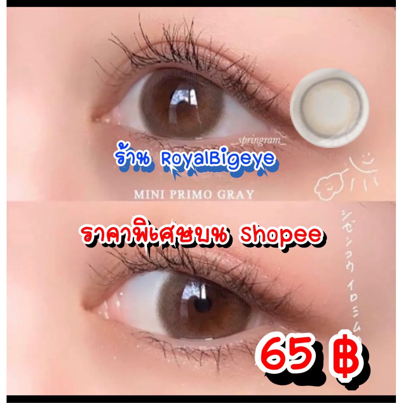 ส่งด่วนทุกวัน‼️คอนแทคเลนส์ Mini Primo Gray - Kitty Kawaii ขนาดมินิ