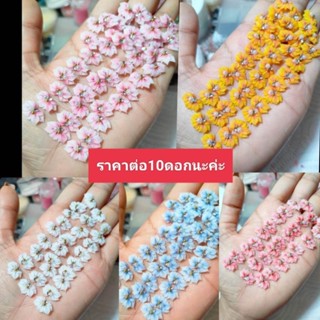 ดอกไม้ติดเล็บ ดอกไม้อะคริลิค(ราคา10ดอก)