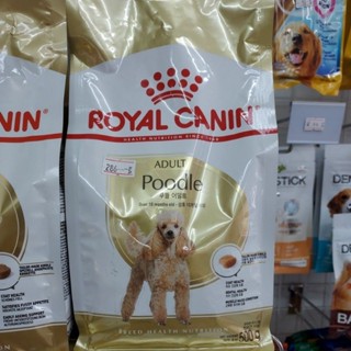 Royal Canin Adult Poodle