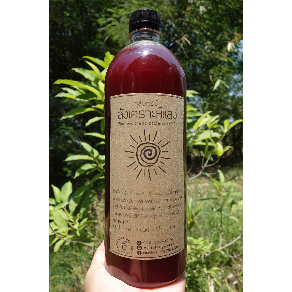 จุลินทรีย์สังเคราะห์แสง Photosybthetic bacteria (PSB)