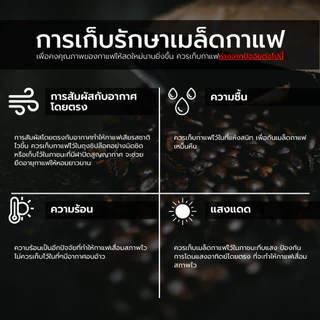 Baramio เมล็ดกาแฟคั่ว Brazil Santos Fine Cup (Arabica100%) 250g - 500g. | Taste Note: Nutty, Brownsugar, Cocoa มีราคาส่ง