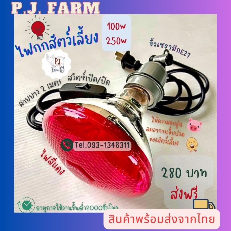 (สินค้าพร้อมส่ง) หลอดไฟกกหมูอินฟาเรด ให้ความอบอุ่นสัตว์เลี้ยง แบบหนาพิเศษ 100W 150W 250W