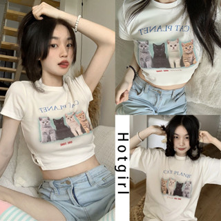 Hotgirl  พร้อมส่งจากกทม ✨เสื้อครอป เสื้อยืดแฟชั่น เสื้อยืดผญสวยๆ 🌸เสื้อยืดย้อนยุคอเมริกัน แขนสั้นสลิมฟิตสาวร้อน เสื้อยืดลายแมว