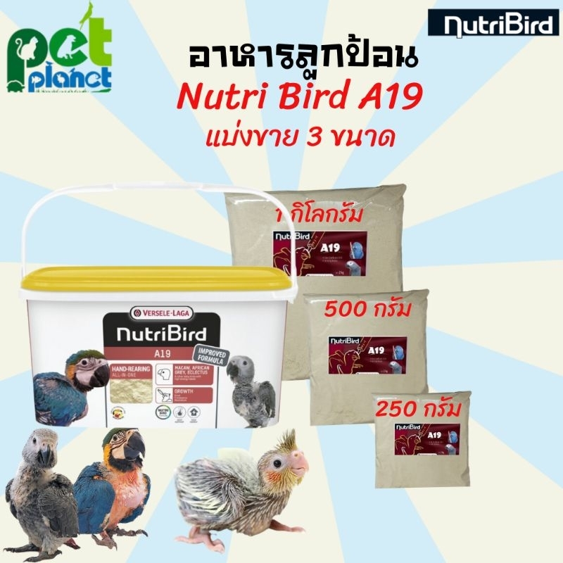NutriBird A19 อาหารลูกป้อนสำหรับลูกนกที่ต้องการไขมันสูง (250g)
