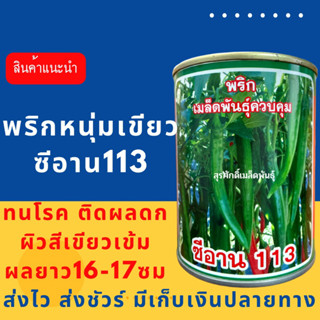 (ของแท้ ส่งไว) พริกหนุ่มเขียว ซีอาน 113 50 กรัม