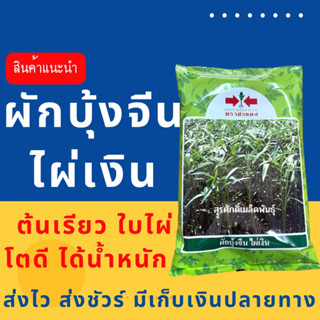 (ของแท้ ส่งไว) ผักบุ้งจีน ไผ่เงิน 1 กิโล