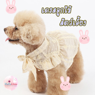 เดรสลูกไม้ของสัตว์เลี้ยง เดรสหมา Lace Pet Dress เสื้อสุนัข เสื้อแมว เดรสหมาแฟชั่น