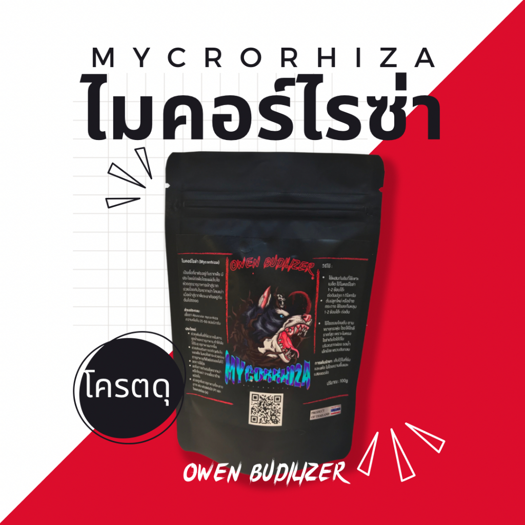 ไมคอร์ไรซ่า เพิ่มราก ปลูกกัญชา Mycorrhiza เร่งราก ดินดี กัญ น้ำ ช่วยรากดูดซึม ราอาร์บัสคูลาร์ เร่งโต ปุ๋ย 100 กรัม