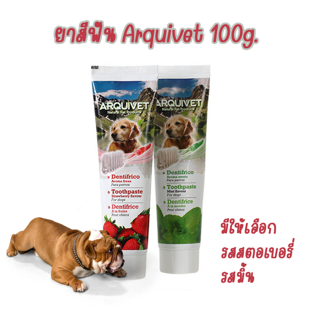 ยาสีฟันอย่างเดียว Arquivet 100g. ยาสีฟัน ยาสีฟันหมา ยาสีฟันสุนัข Dental Care รสมิ้น รสสตอเบอรี่