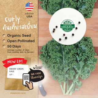 เมล็ดผักนำเข้า เคลใบหยิก Curly Kale (Organic Seed) สายพันธุ์ดี คะน้าเคล ผักเคล