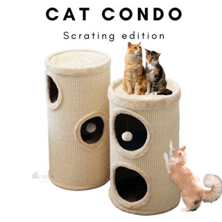 คอนโดแมวลับเล็บได้ทั้งหลัง CAT SISAL CONDO คอนโดแมวศรป่านนารายณ์ ที่ลับเล้บแมว บ้านแมว Monkey