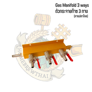 Compressed Gas Manifold อุปกรณ์สำหรับกระจายก๊าซ แบบต่างๆ