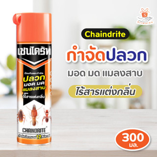 Chaindrite เชนไดร้ท์ 3 ปลวก ไร้กลิ่น 300 มล. กำจัดปลวกนาน 12 สัปดาห์ ป้องกันและกำจัด ไร้สารแต่งกลิ่น ปลวก มอด มด แมลงสาย