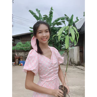 #ต้นมะม่วงมหาชนก ((เสียบยอด)) 1 ปีติดผล สูงราว50-60เซน