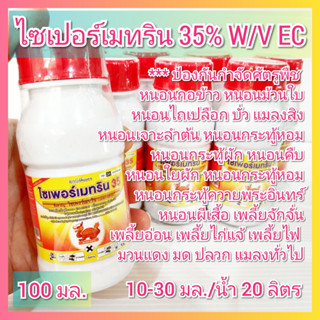 ไซเพอร์เมทริน (cypermethrin) 35% เต่ามังกร ขนาด 100 มล. กำจัดแมลง เพลี้ยไฟ หนอนเจาะฝักถั่ว มด ปลวก ไซเปอร์เมทริน ไซเปอร์