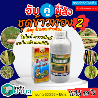 🌾 ชุดข้าวท้อง2 ริชมอนด์ +น็อคเด็ด ขนาด 1ลิตร+500ซีซี ป้องกันและกำจัดโรคพืช โรคไหม้ ใบติด น็อคเชื้อทันที